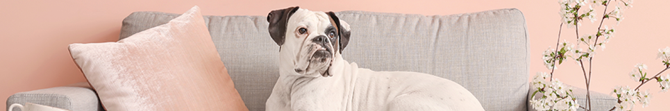 Canlı Renklerle Farklılığı Yakala