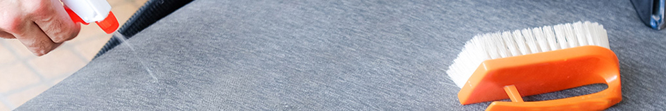 Toz Akarlarına Karşı Bitkisel Çözüm Önerileri