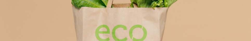 Duvar Boyasında Kese Kağıdı Rengi ve Alternatifleri