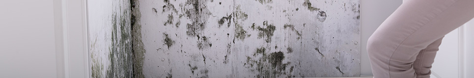 Evde rutubet neden olur?