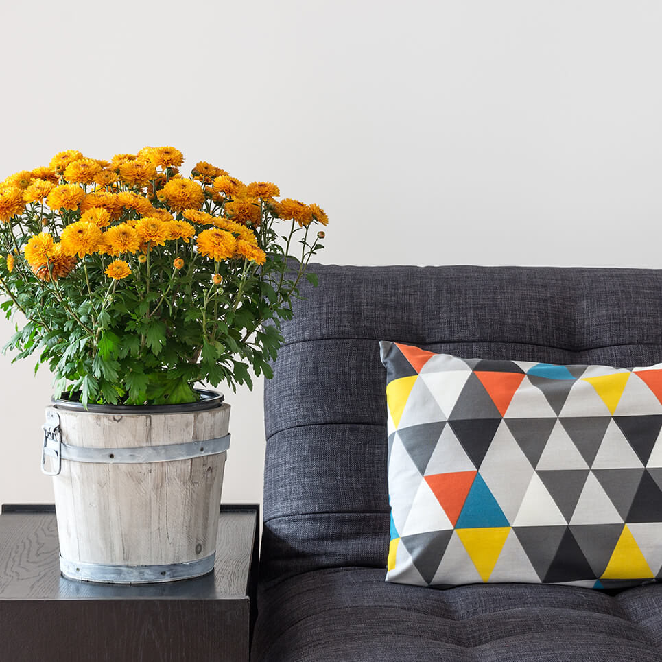 Mutlu Yaşam Enerjisini Yayan Ev Dekorasyon Önerileri