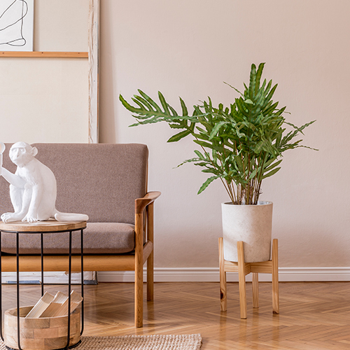 Evinizde uygulayabileceğiniz 4 kolay Japandi tarzı