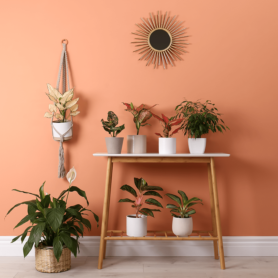 Evinde Renkleri Kullanmanın İpuçları