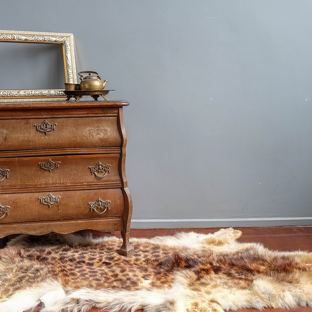 Hayvan Baskıları Kullanarak Evleri Dekore Etmenin Kolay 5 Yolu