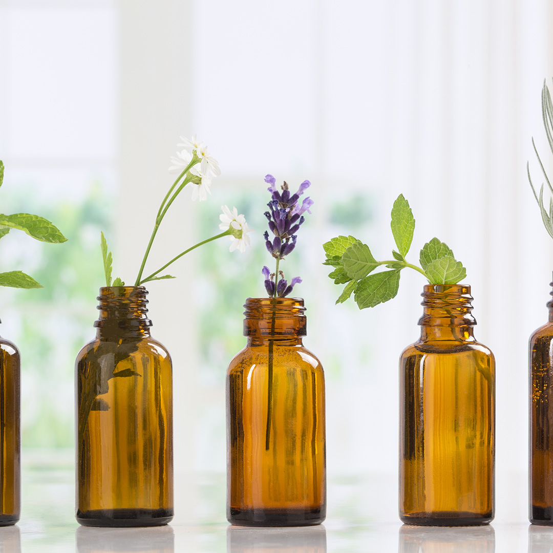 Toz Akarlarına Karşı Bitkisel Çözüm Önerileri