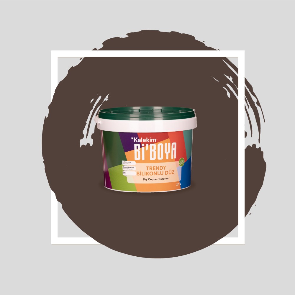 Silikonlu Dış Cephe Boyası 4496 2.5 LT 