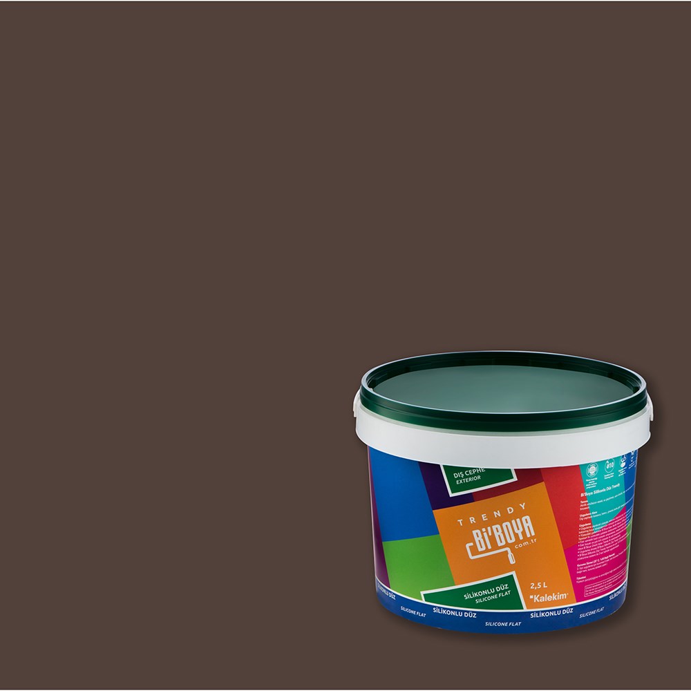 Silikonlu Dış Cephe Boyası 4496 2.5 LT 