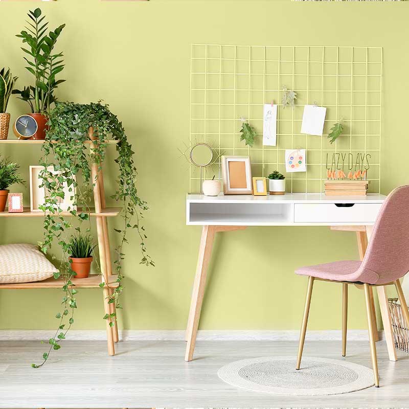 Yeşil Kekik İpek Mat İç Cephe Boya 2.5 LT 