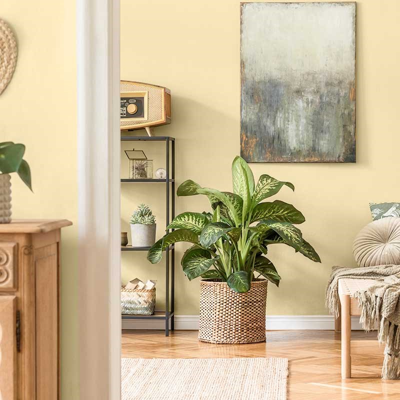 Sarı Hanimeli İpek Mat İç Cephe Boya 2.5 LT 