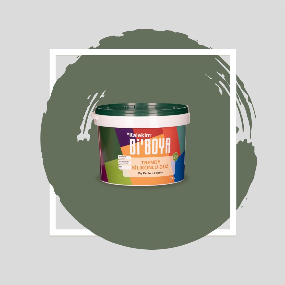 Silikonlu Dış Cephe Boyası 4195 2.5 LT 