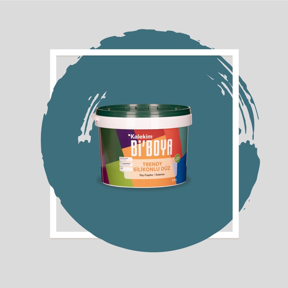 Silikonlu Dış Cephe Boyası 4246 2.5 LT 