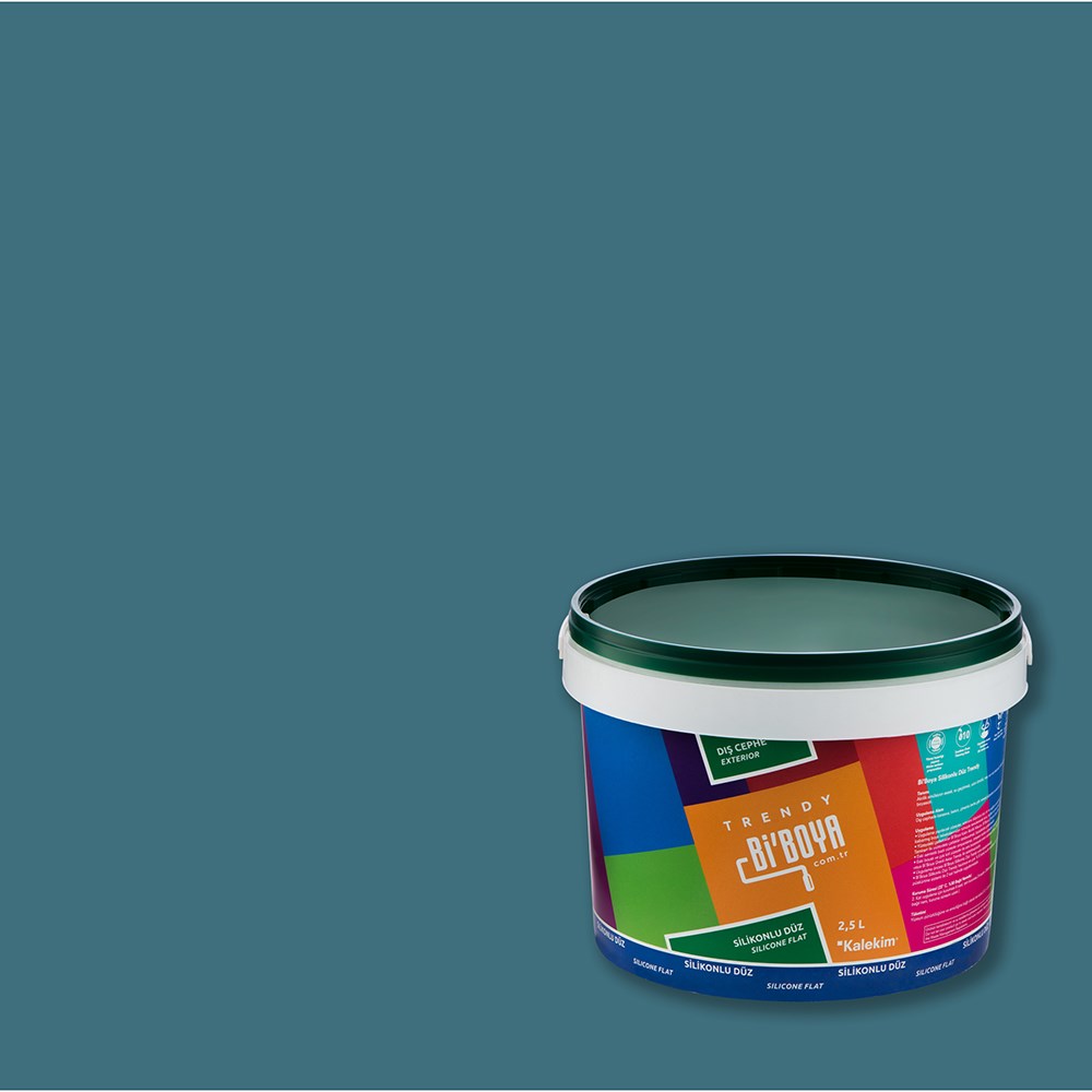 Silikonlu Dış Cephe Boyası 4246 2.5 LT 
