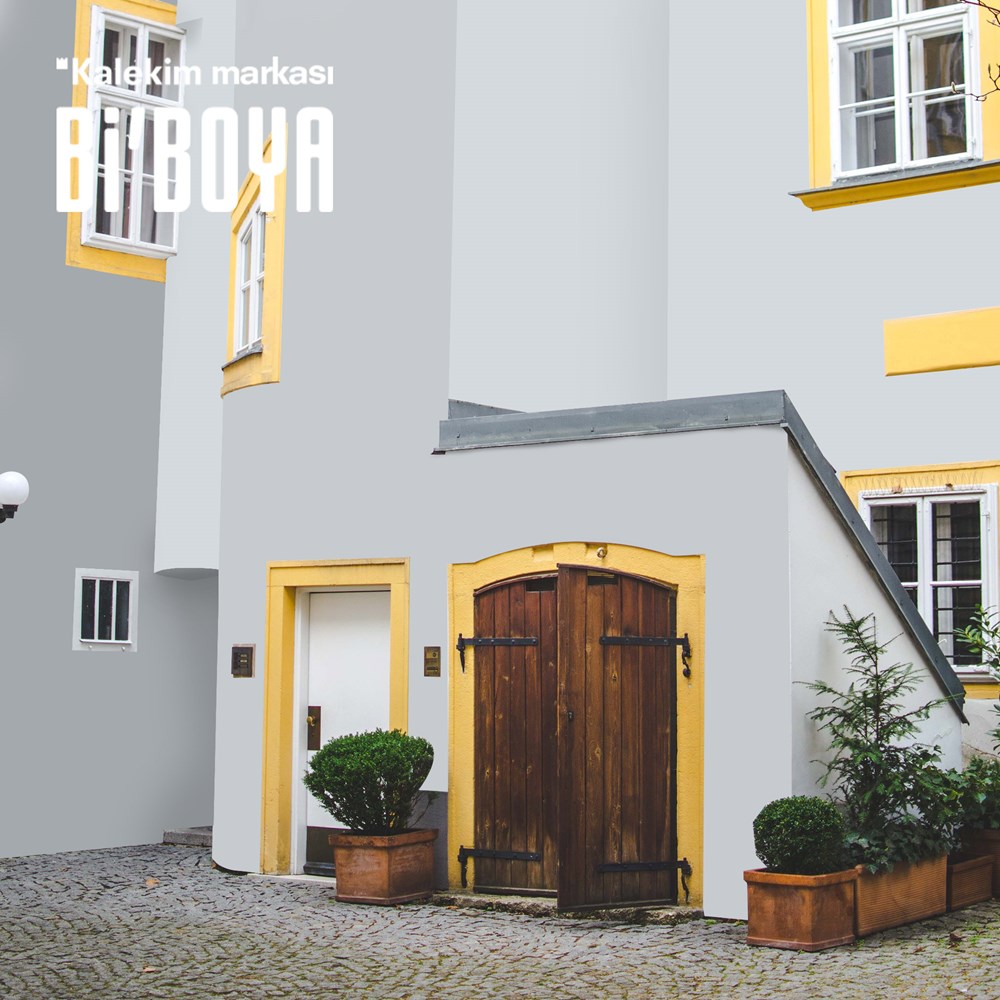 Silikonlu Dış Cephe Boyası 4233 2.5 LT 