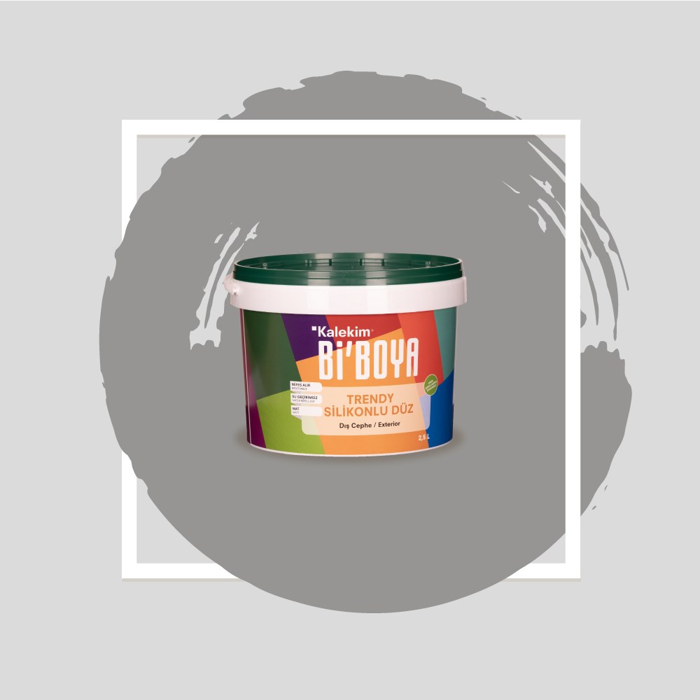 Silikonlu Dış Cephe Boyası 4233 2.5 LT 